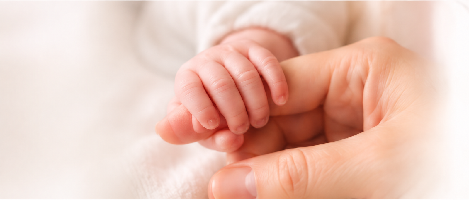 Baby holding parent's finger